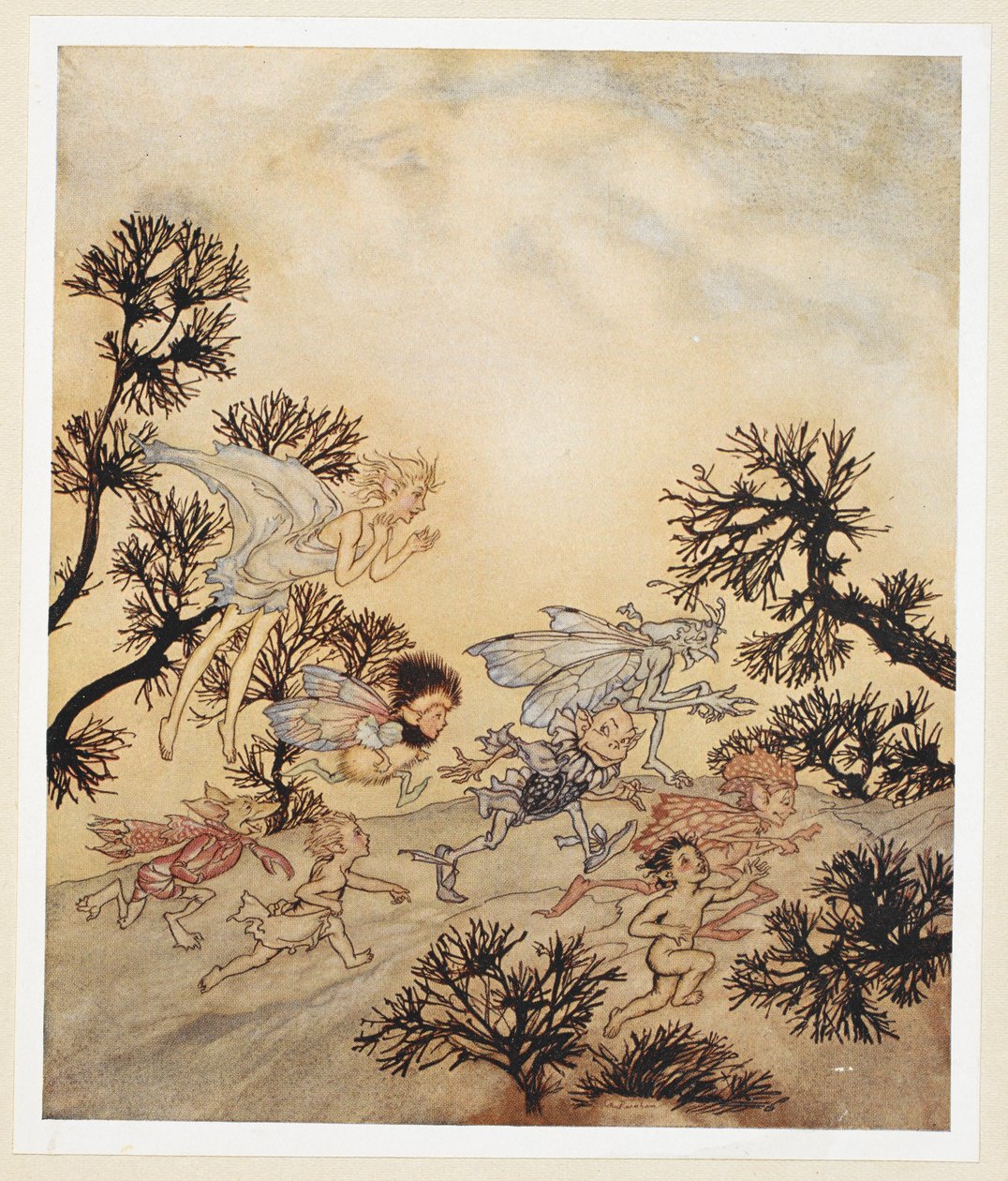 ACT IV: Scéna I, řádek 259 Jdi naúčtovat mým skřetům, že oni obrousit jejich klouby Se suchými křečemi od Arthur Rackham