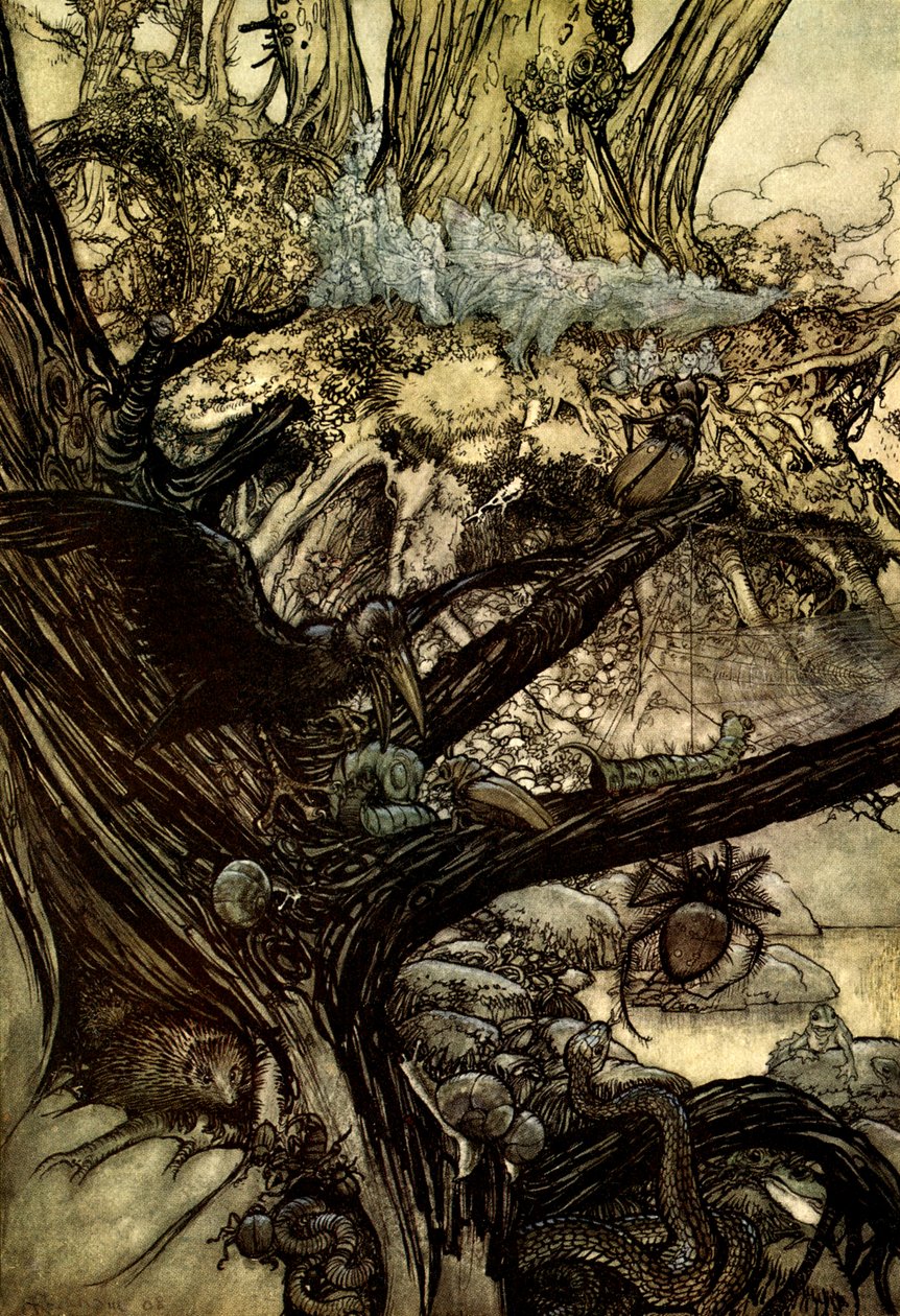 Sen noci svatojánské od Arthur Rackham