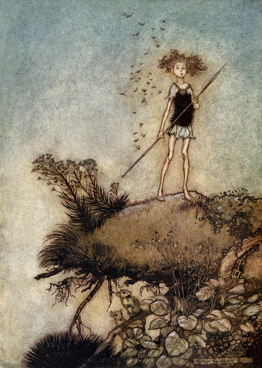 Sen noci svatojánské od Arthur Rackham