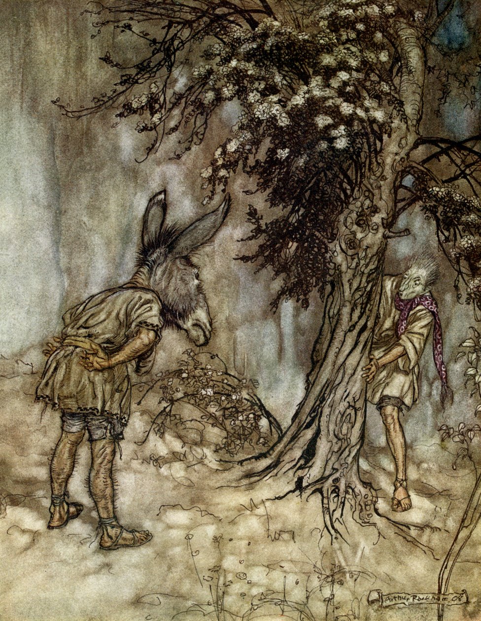 Sen noci svatojánské od Arthur Rackham
