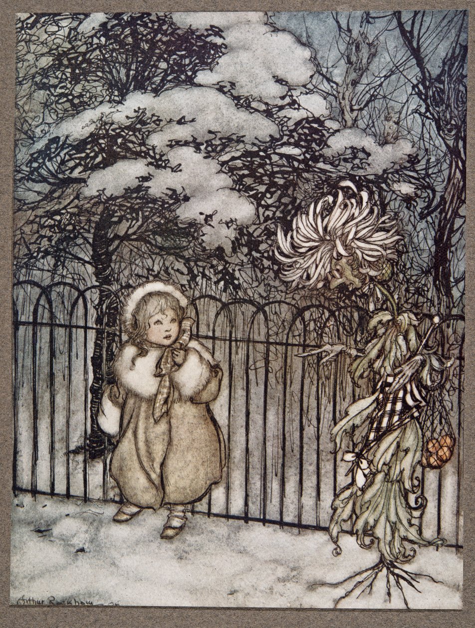 Slyšela ji chryzantéma a ostře řekla: „Hoity-toity, co to je?“, od Petera Pana v Kensington Gardens od J. M. Barrieho (1860 - 1937), hospoda. 1906 od Arthur Rackham