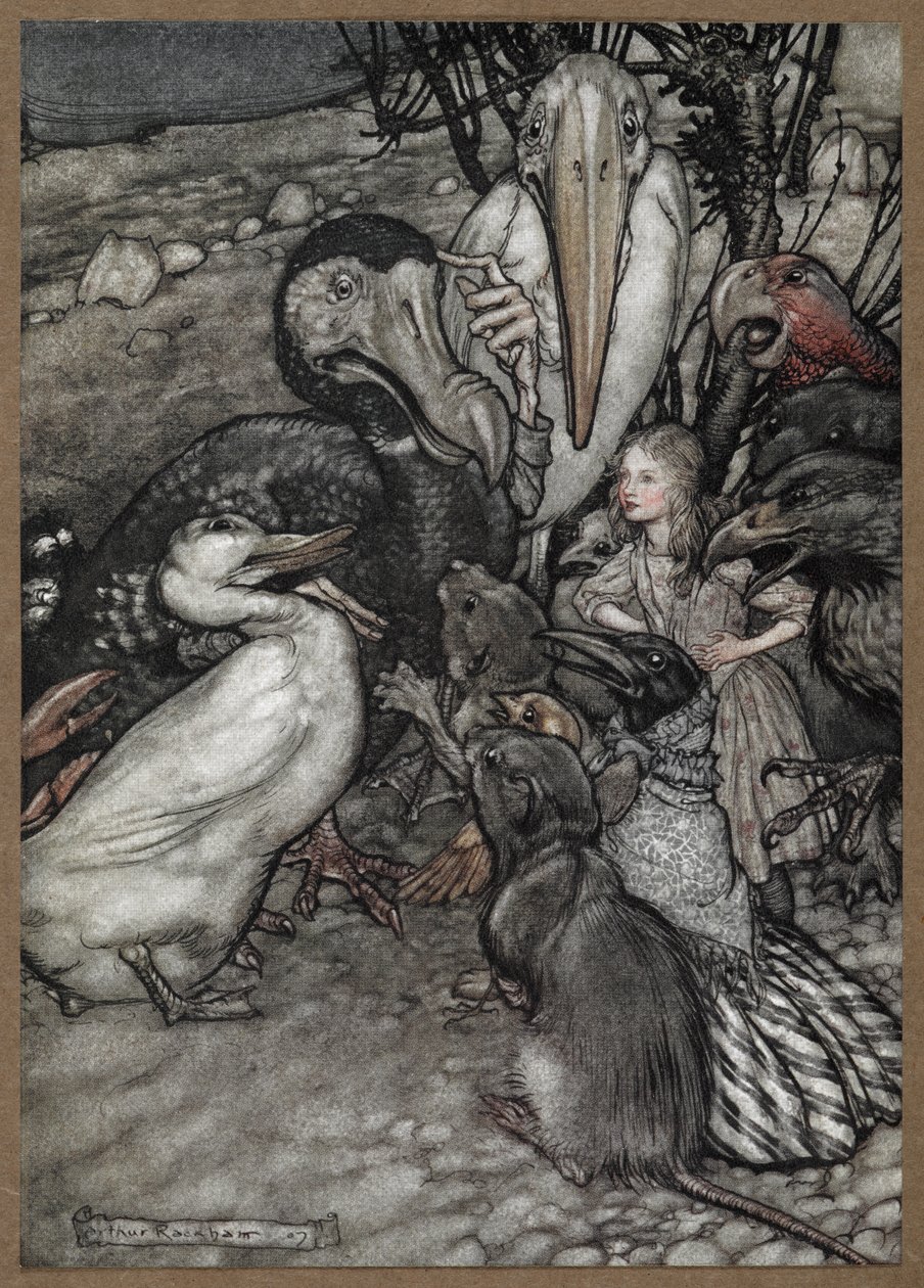 Alice a zvířata po Caucus Race, včetně doda, kachny, krysy, vrány a papouška. od Arthur Rackham