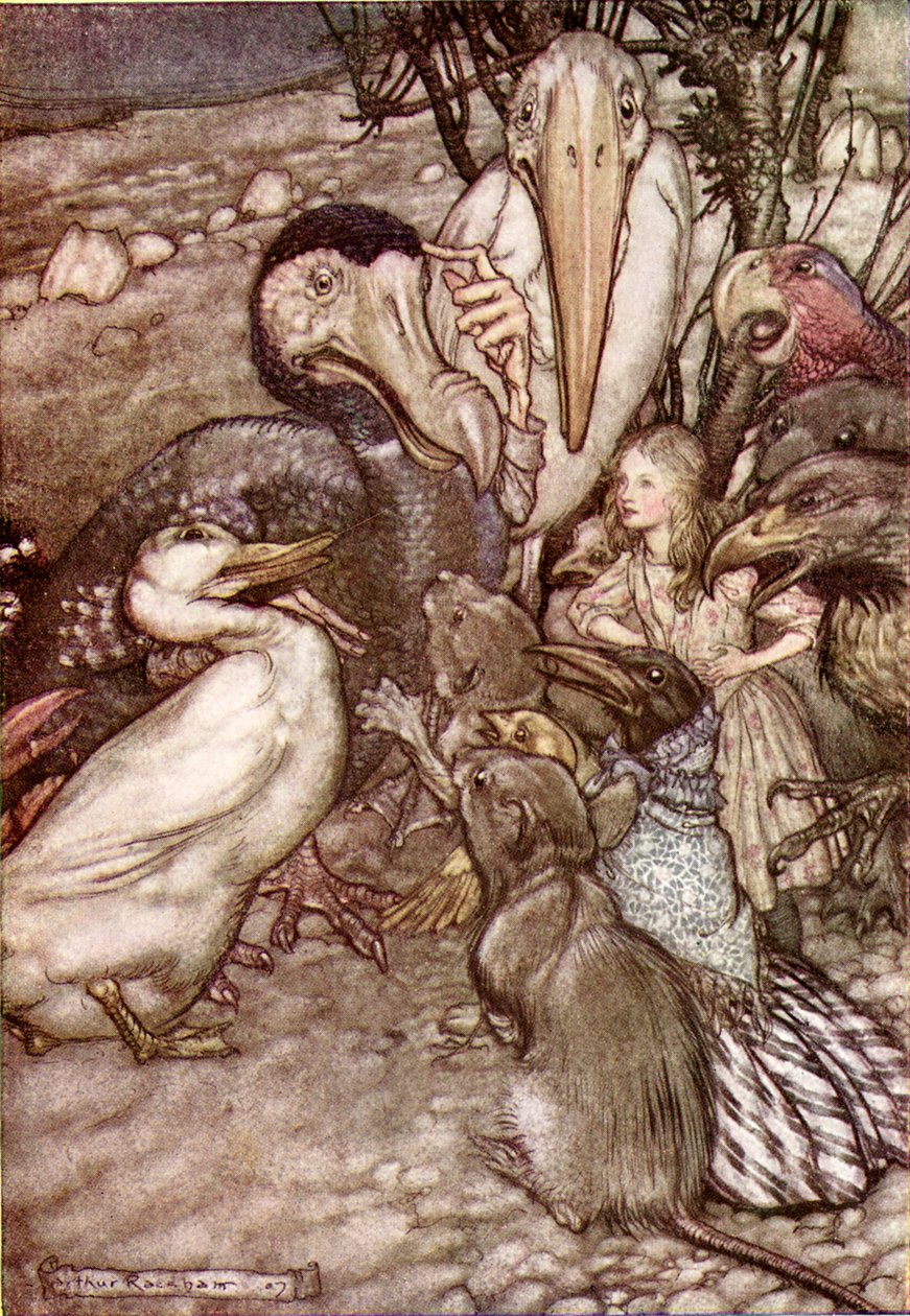 Alenka s dobrodružstvím v říši divů od Lewise Carrolla od Arthur Rackham
