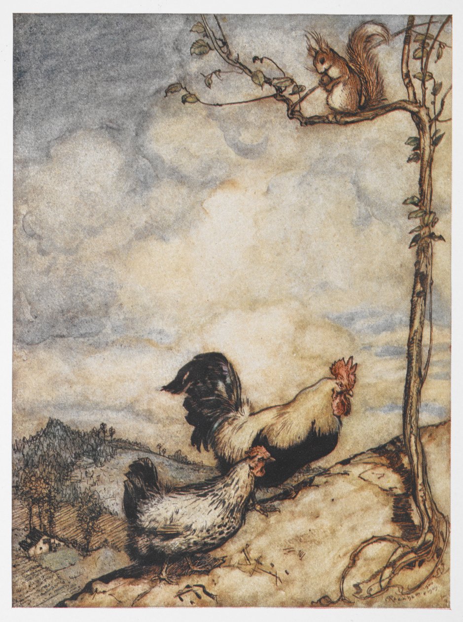 Ilustrace slepice, kohouta a veverky z Dobrodružství Chanticleera a Partleta. od Arthur Rackham