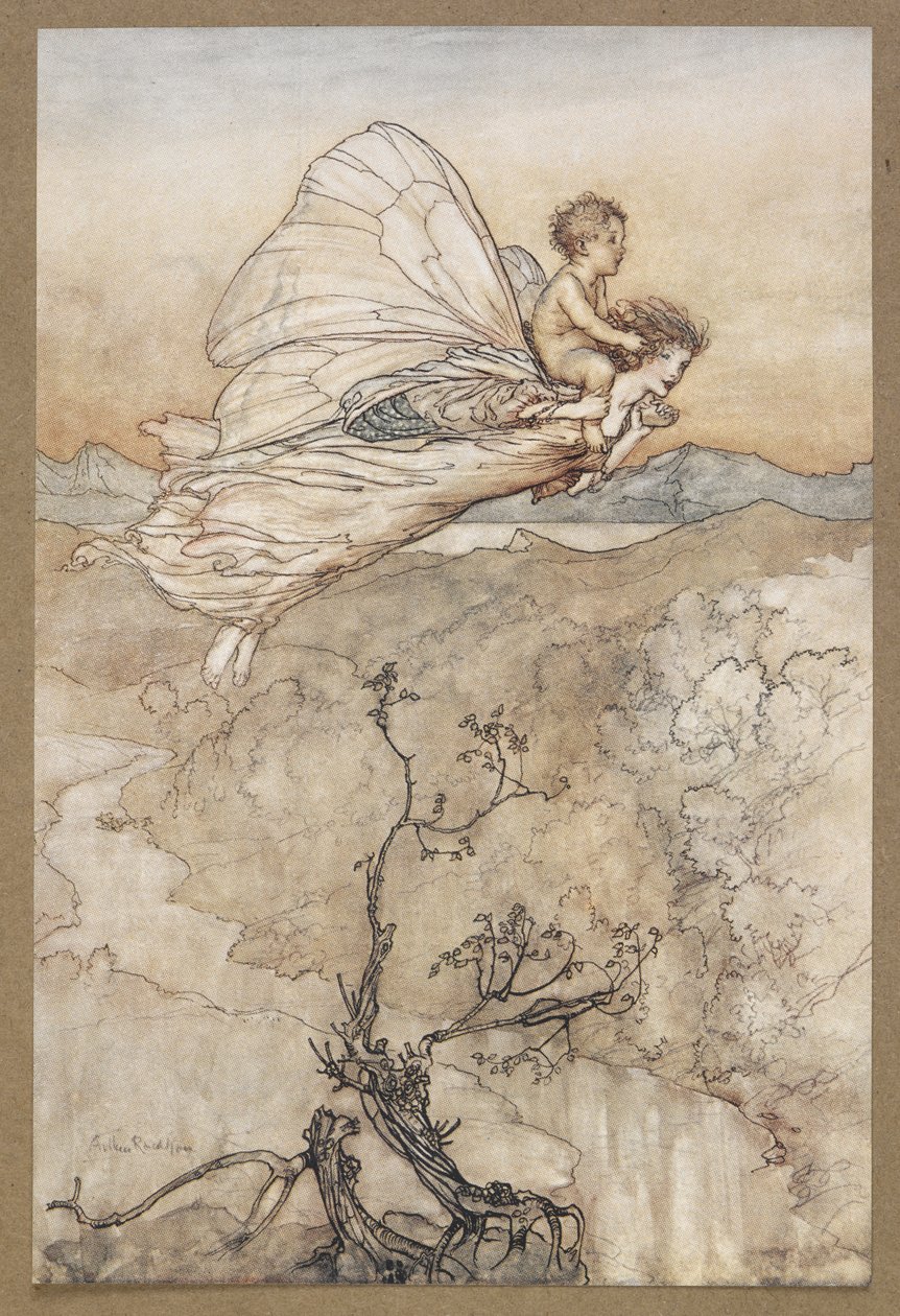 ... A její víla ho poslala, aby ho přinesla do mého altánku v pohádkové zemi.“ Víla odletěla s Changlingem. Scéna ze „Snu noci svatojánské“. od Arthur Rackham