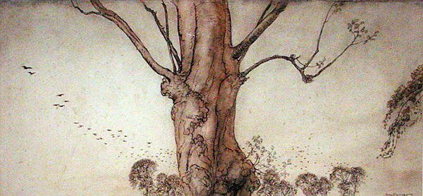 Barborin strom (pero, inkoust a akvarel na papíře) od Arthur Rackham