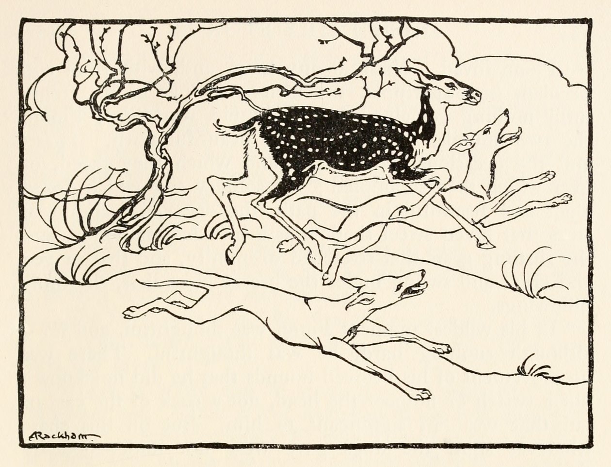 Becfola ve svém voze z knihy The Wooing of Becfola in Irish Fairy TalesViz popis od Arthur Rackham