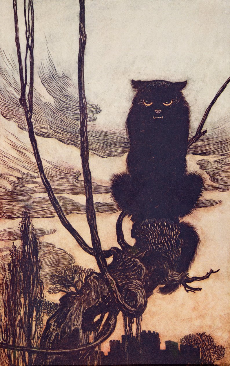 Přes den ze sebe udělala kočku?, z hospody Pohádky bratří Grimmů. 1909 od Arthur Rackham