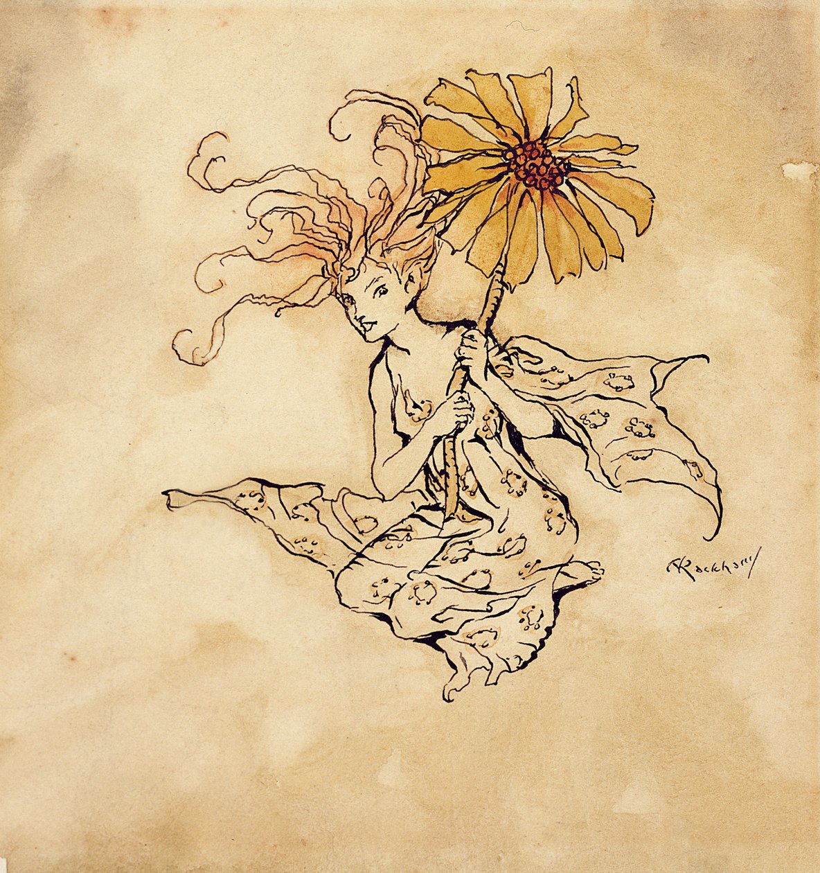 Daisy Fairy, ilustrace od Petera Pana v Kensington Gardens, od J. M. Barrieho, vydáno 1912 (pero, inkoust a wc na papíře) od Arthur Rackham