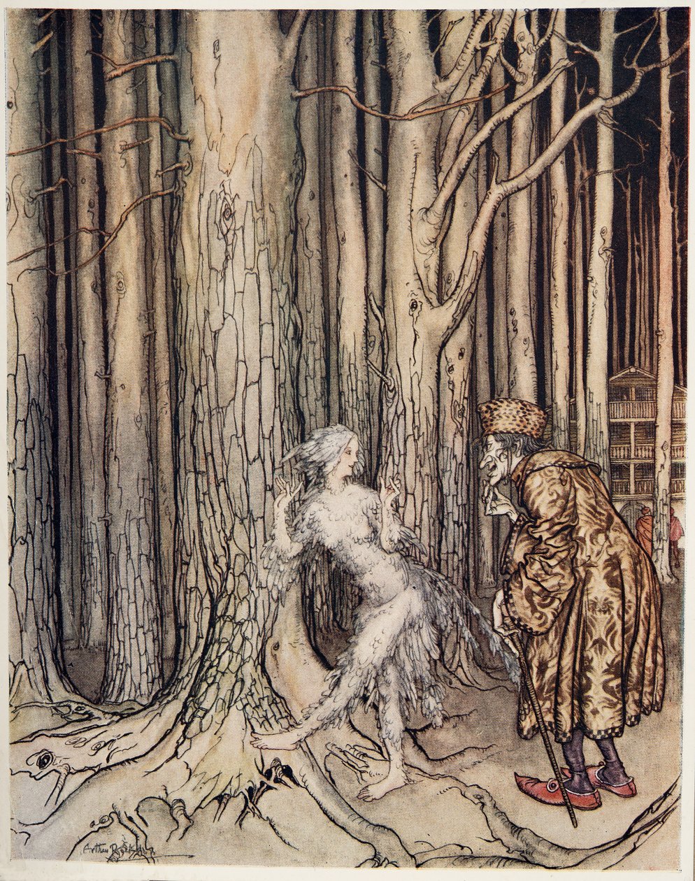 Fitchers Bird, od bratříčka a sestřičky a jiné příběhy bratří Grimmů, pub. 1917 od Arthur Rackham