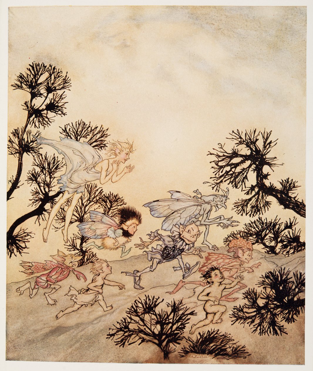 Jdi nabít mé skřety, že si drtí klouby suchými křečemi, ilustrace od Williama Shakespearese Bouře, hospoda. 1926 od Arthur Rackham