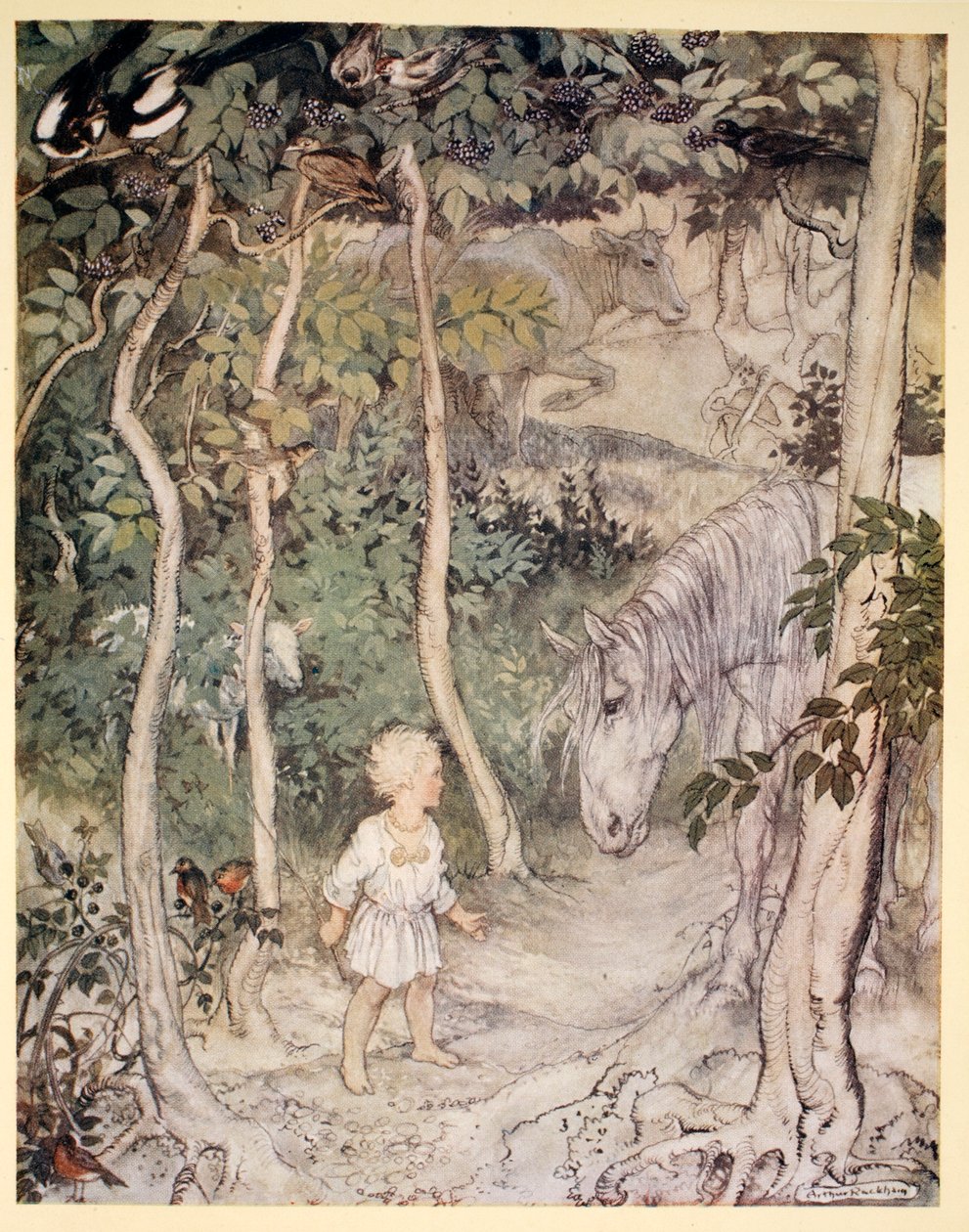Mohl by si myslet, když zíral na upřeného koně, „chlapec nemůže vrtět ocasem, aby zadržel mouchy“, ilustrace z „Irských pohádek“ od Jamese Stephense, 1920 od Arthur Rackham