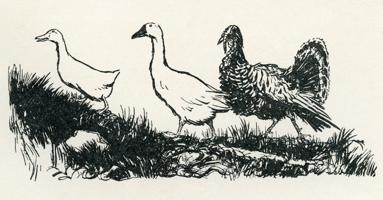Henny-Penny od Arthur Rackham