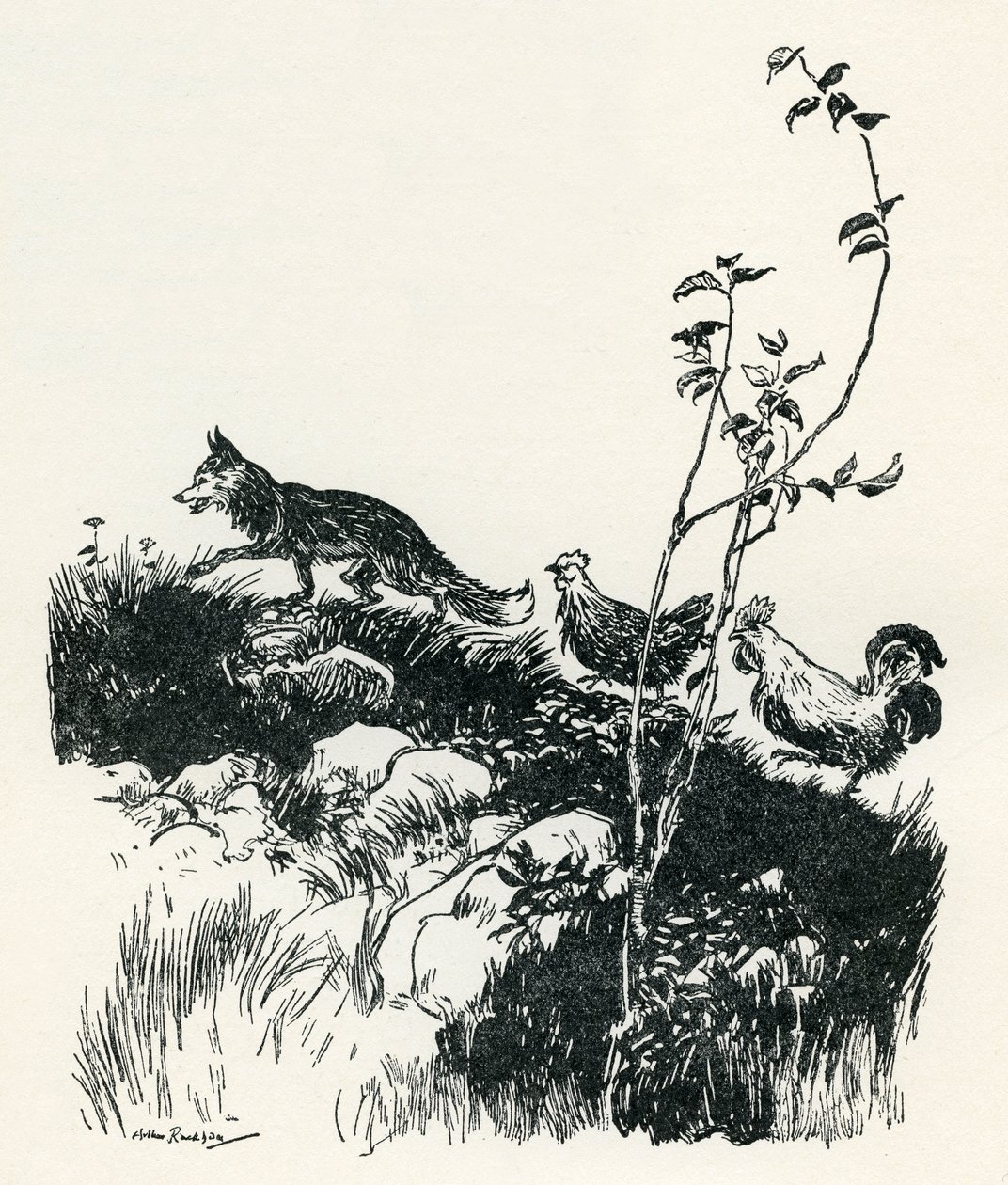 Henny-Penny od Arthur Rackham