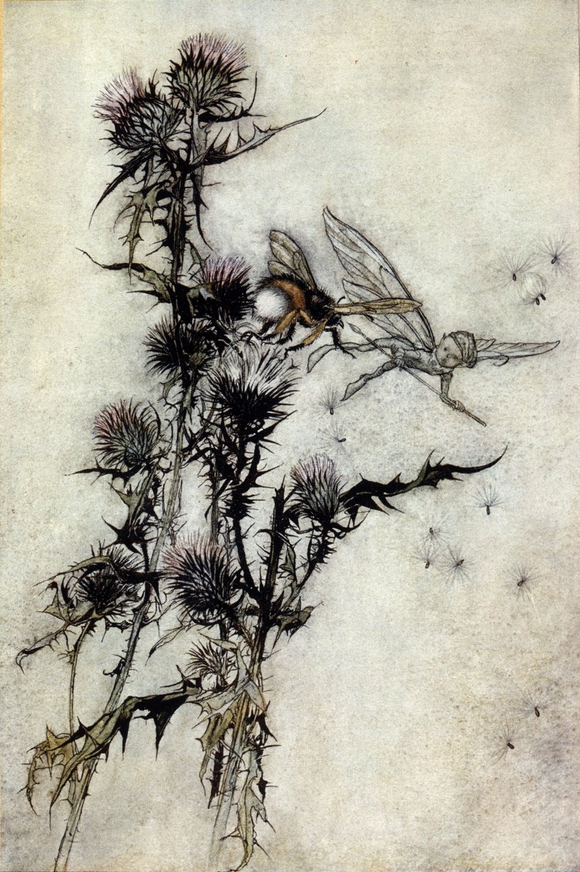 Ilustrace Arthur RACKHAM (1867-1939) pro Sen letní noci od Williama SHAKESPEARE od Arthur Rackham