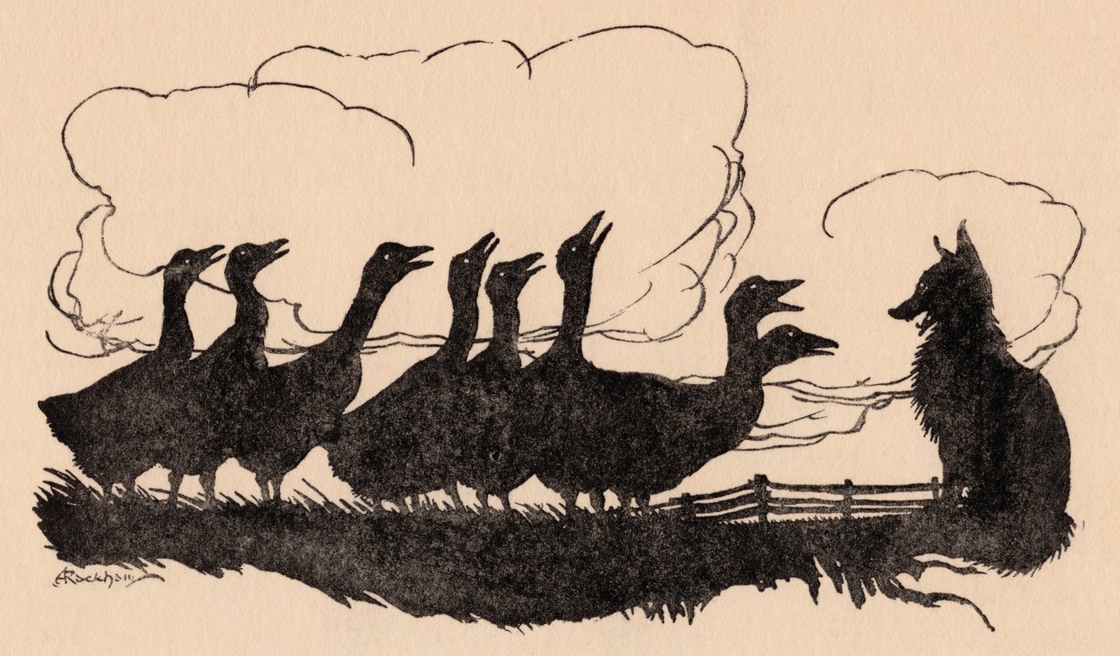 Ilustrace Arthur Rackham z Grimmovy pohádky, Liška a husy. od Arthur Rackham