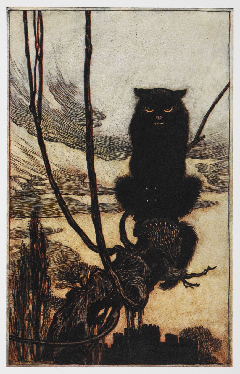 Ilustrace od Jorindy a Joringela černé kočky. od Arthur Rackham