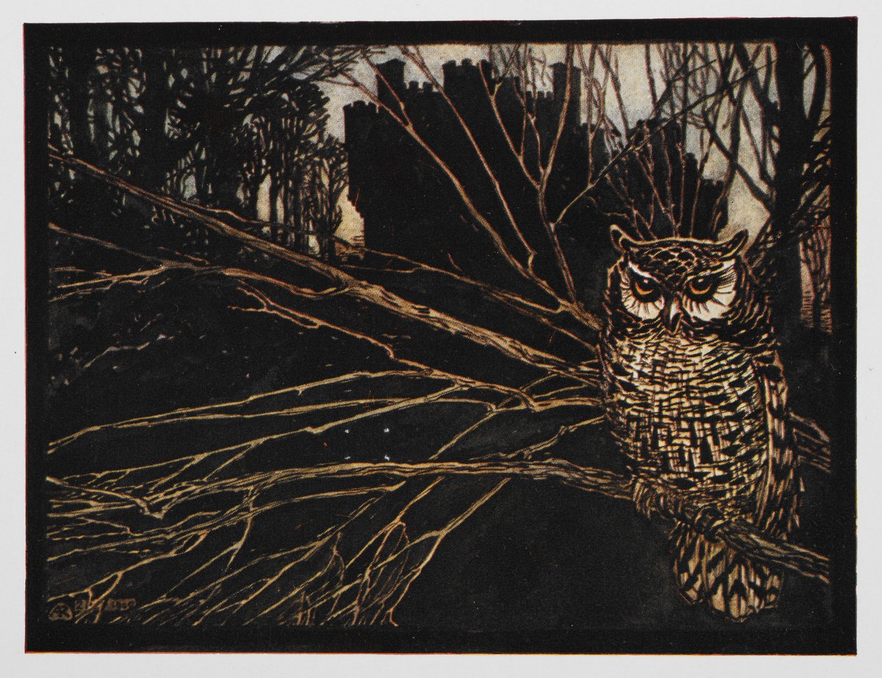 Ilustrace sovy pištění od Jorindy a Joringela. od Arthur Rackham