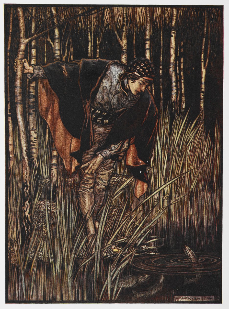 Ilustrace mládí u rybníka z Bílého hada. od Arthur Rackham