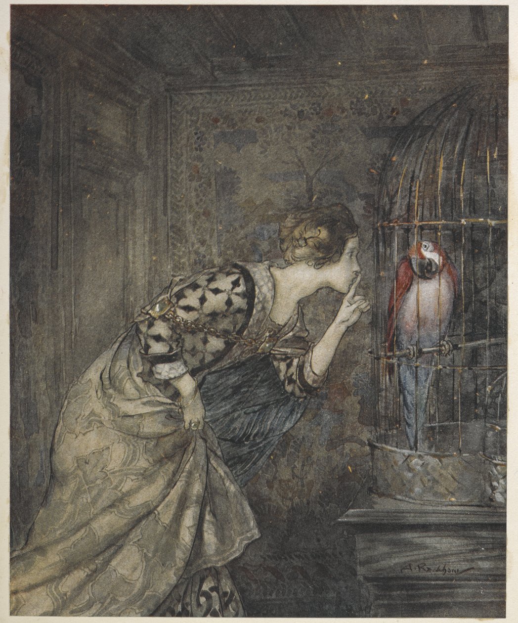 May Colvin a papoušek v kleci. od Arthur Rackham