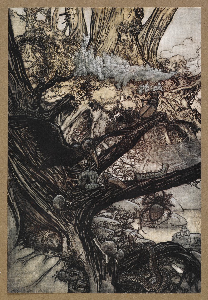 Nikdy neubližuj, ani nečaruj, ani nečaruj, přibliž se naše milá paní. Scéna ze „Snu noci svatojánské“. od Arthur Rackham