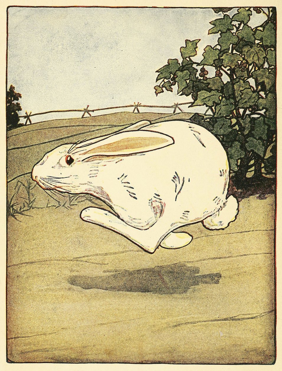 Peter nikdy nepřestal běhat, z hospody The Tale of Peter Rabbit. 1916 (barevné lito) od Arthur Rackham