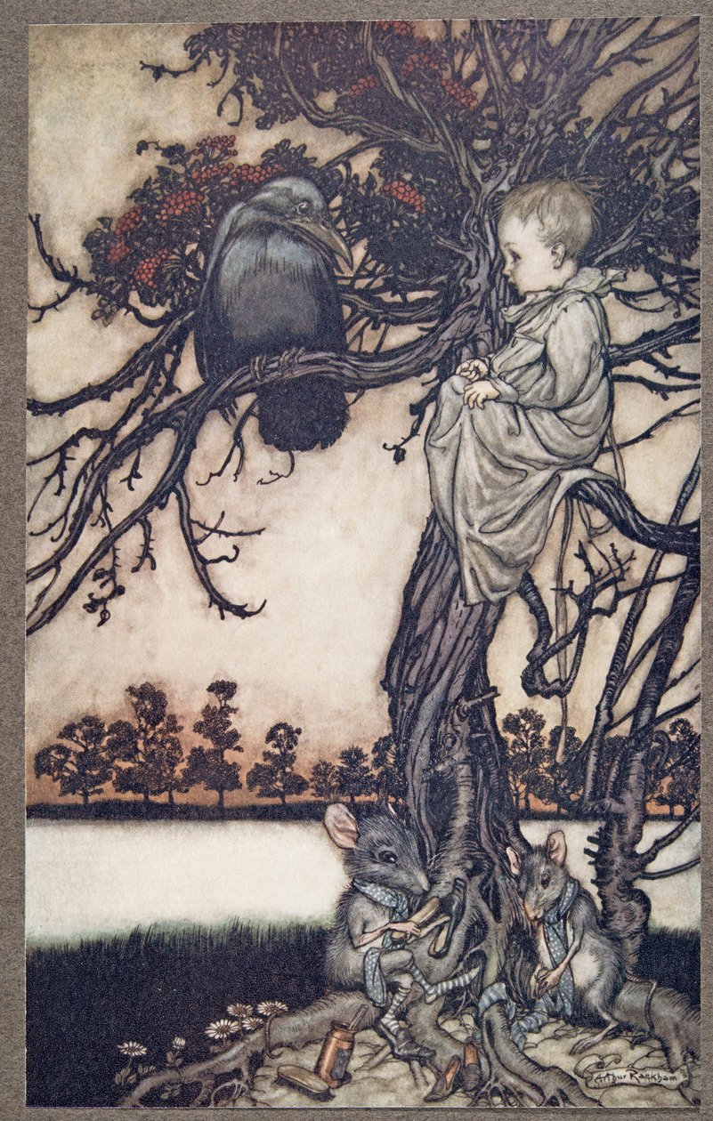 Předložte jeho podivný případ Oldovi Solomonovi Cawovi, od Petera Pana v Kensington Gardens od J. M. Barrieho (1860 - 1937), hospoda. 1906 od Arthur Rackham