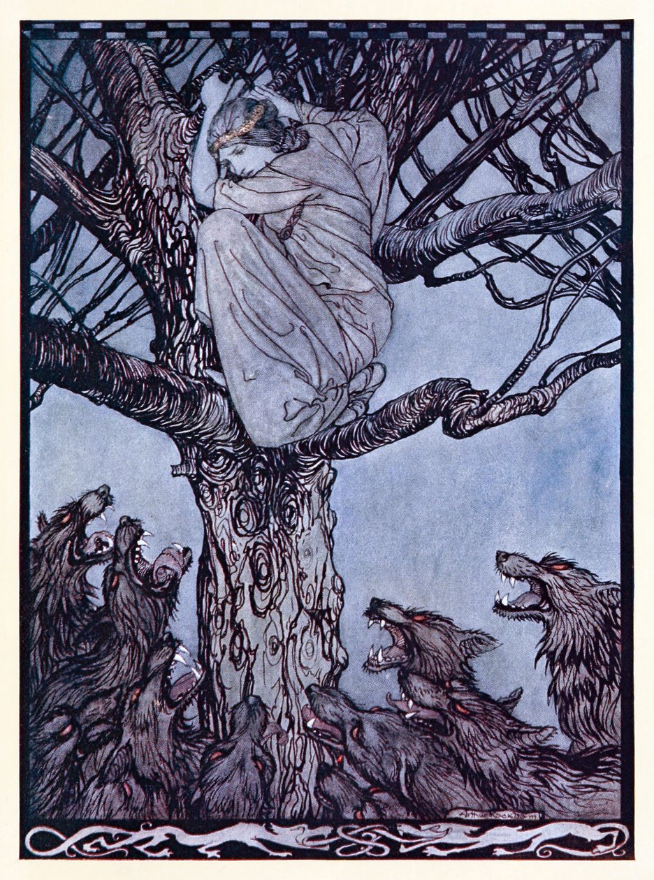 S rozzlobeným žalem se podívala na napínavou a vrčící hordu dole. z The Wooing of Becfola v Irish Fairy Tales od Arthur Rackham
