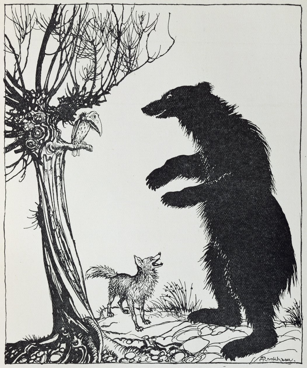 Medvěd a liška, ilustrace z "Ezopových bajek", vydalo nakladatelství Heinemann, 1912. od Arthur Rackham