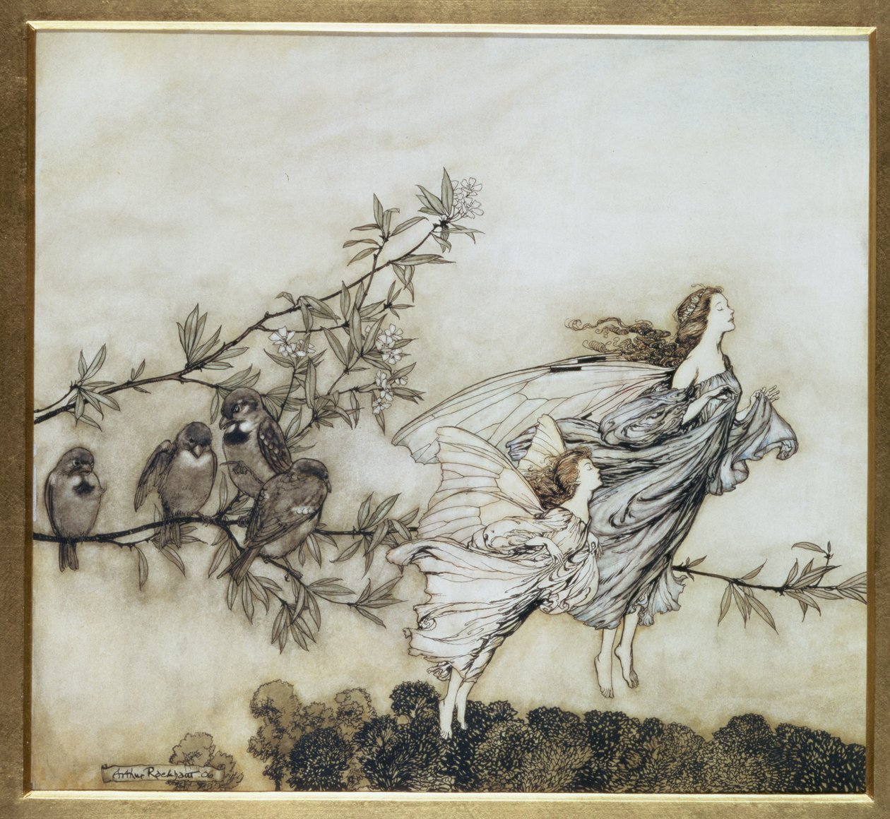 Víly mají svůj Tiff with the Birds, ilustrace z roku 1906 pro Petera Pana v Kensington Gardens od J. M. Barrieho, hospoda. 1906 (inkoust a wc) od Arthur Rackham