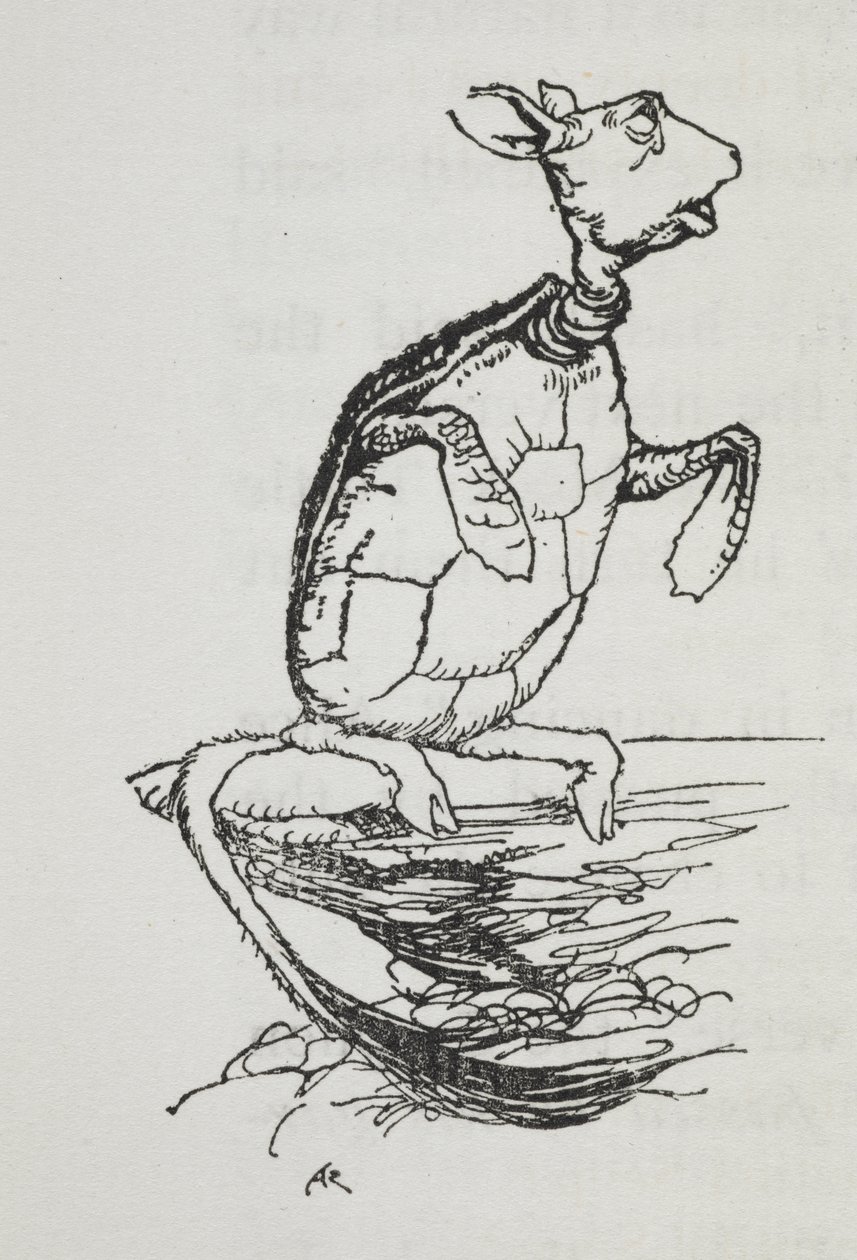 Mock želva od Arthur Rackham