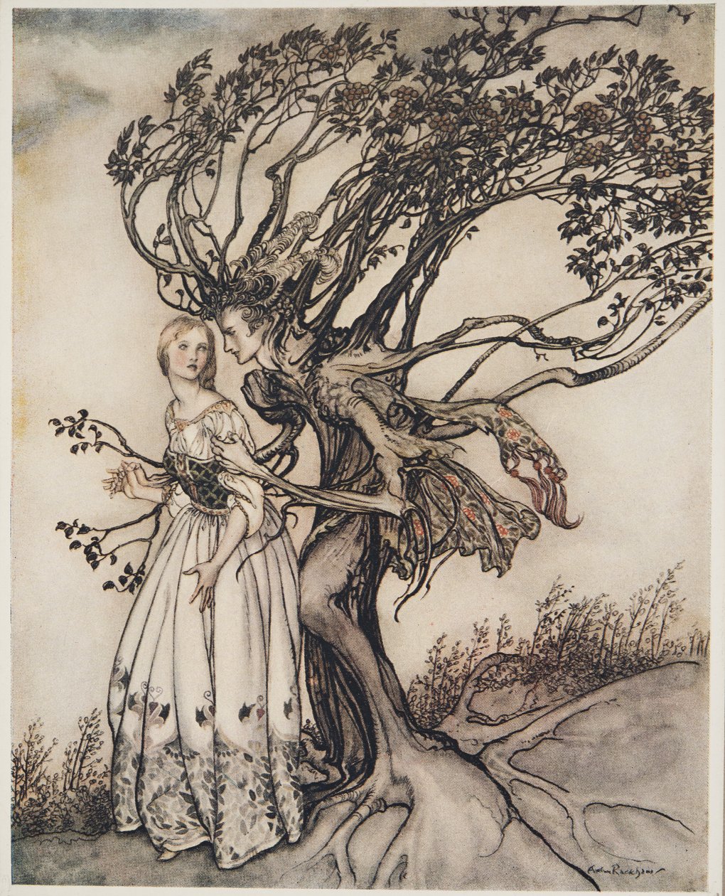 The Old Woman in the Wood, from Bratr & Little Sister and Other Tales by Brother Grimm, pub. 1917 od Arthur Rackham