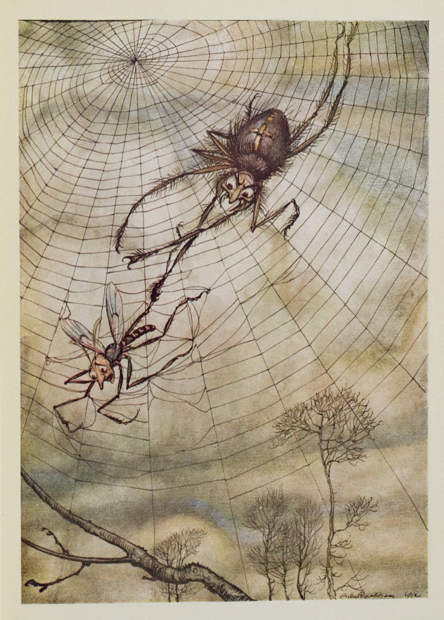 Pavouk a moucha, ilustrace z 