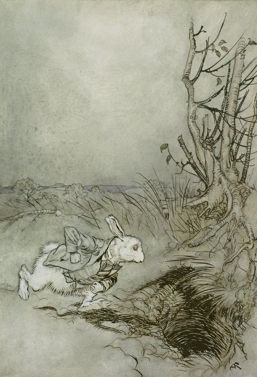 Bílý králík, ilustrace z 