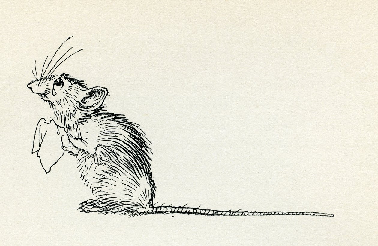 Titty Mouse a Tatty Mouse od Arthur Rackham