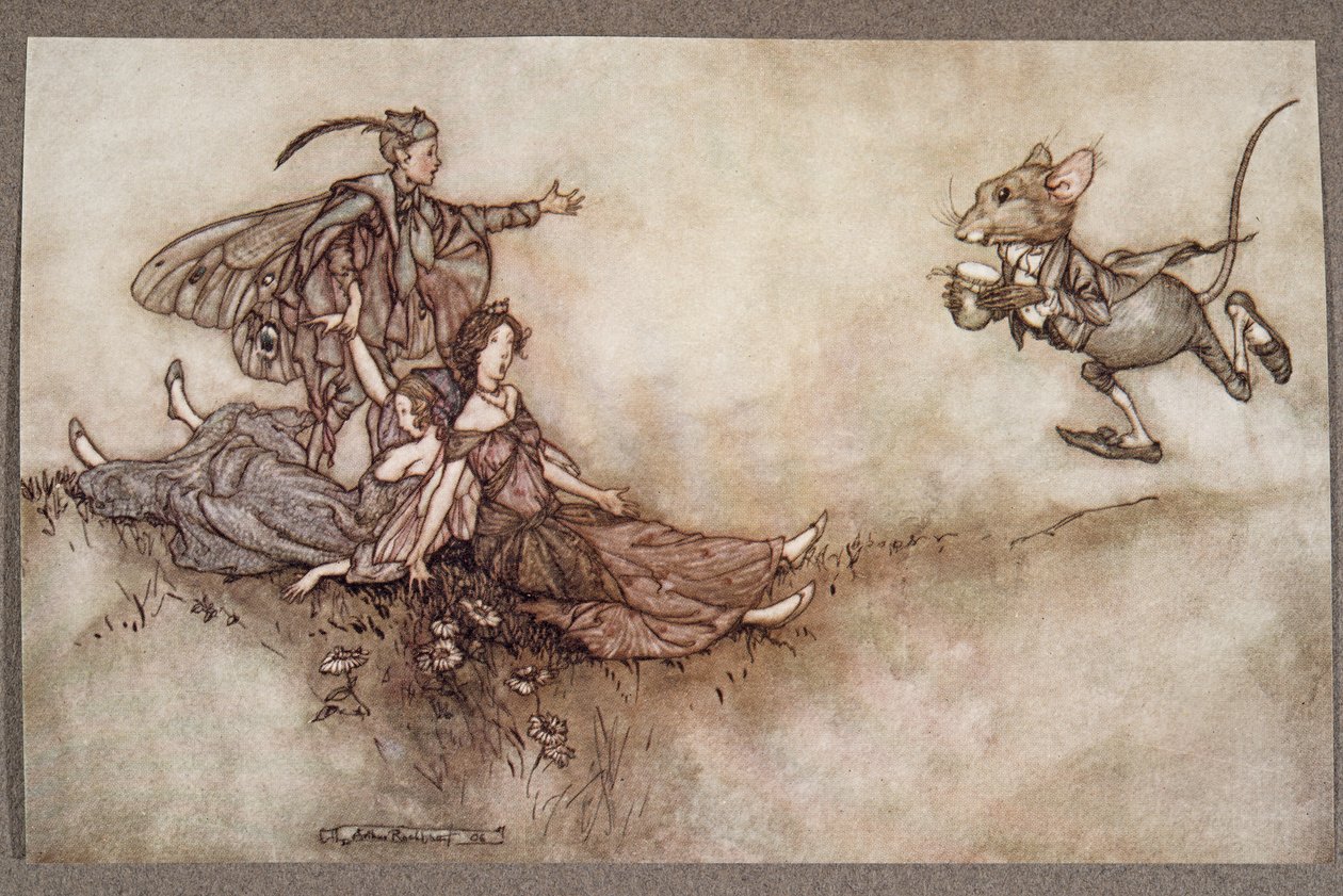 Wallflower juice is good for reviving dancers who fall to the ground in a fit, z knihy Peter Pan in Kensington Gardens od J. M. Barrieho (1860-1937), pub. 1906 od Arthur Rackham