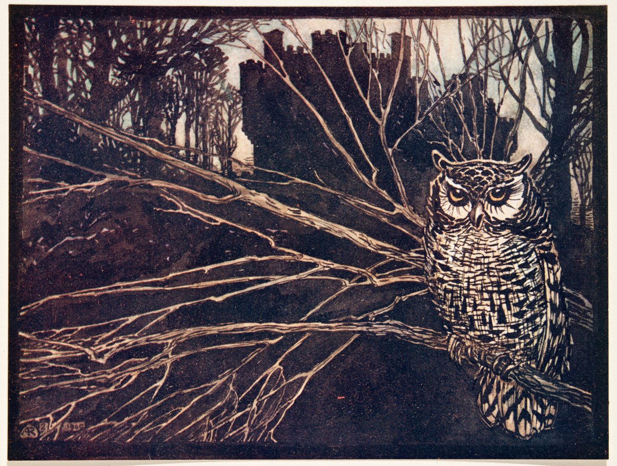 ? aneb sova pištění.., z Pohádek bratří Grimmů, hospoda. 1909 od Arthur Rackham