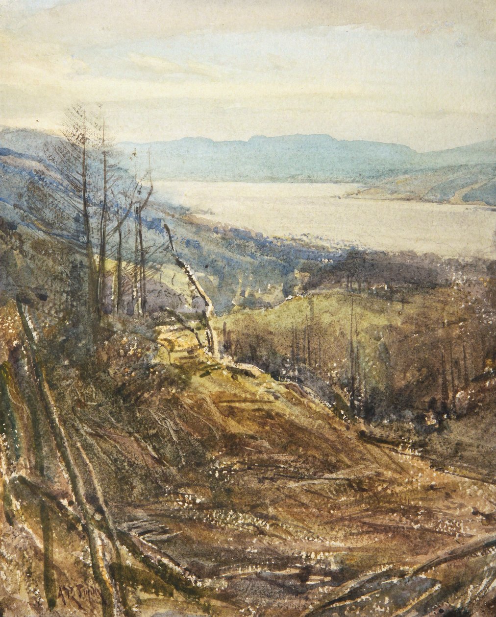 Coniston od Tarn Hows (akvarel) od Arthur Reginald Smith