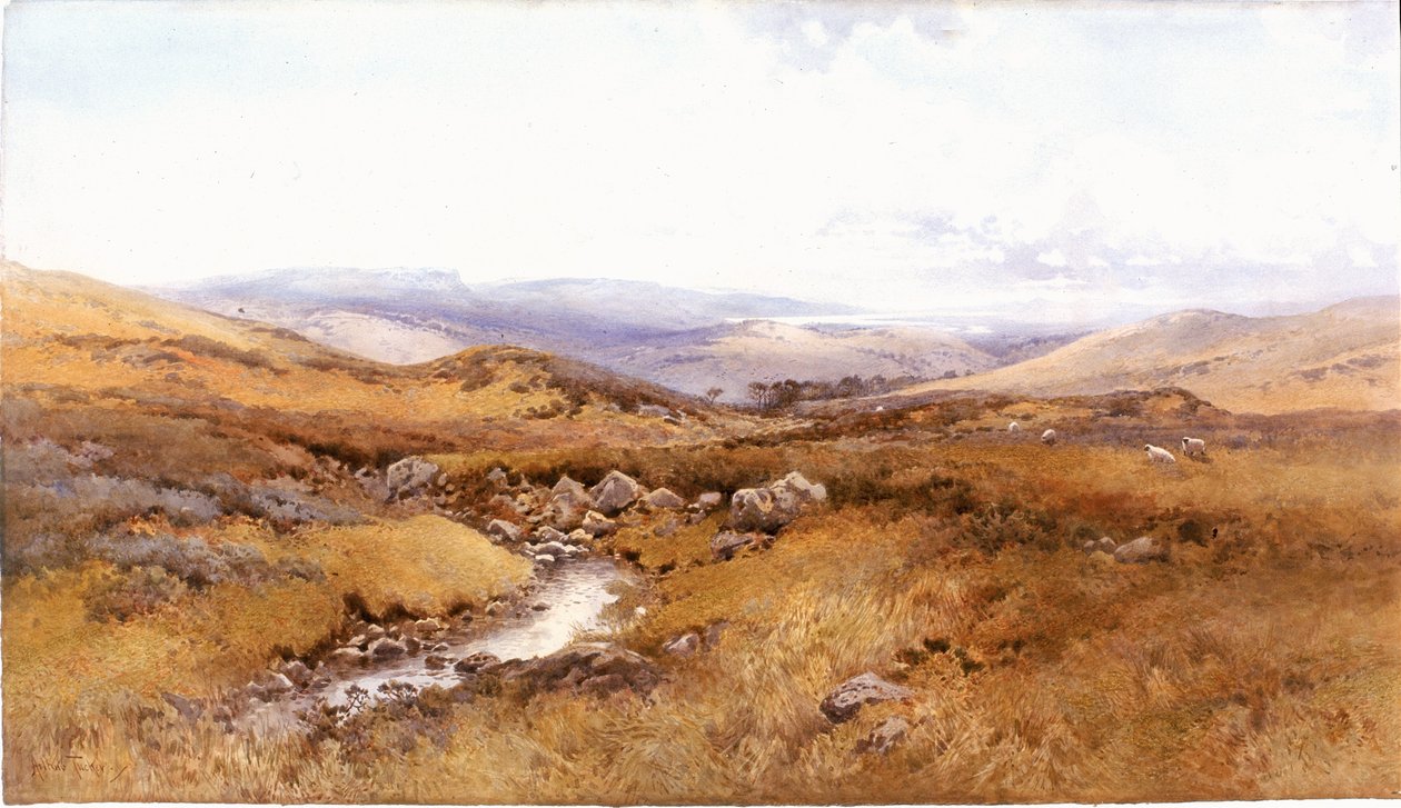 Na Windermerských kopcích (tělová barva, tužka a čb na papíře) od Arthur Tucker