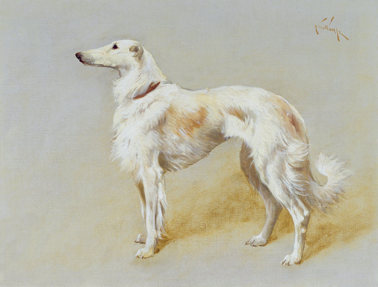 Barzojský pes (olej na plátně) od Arthur Wardle
