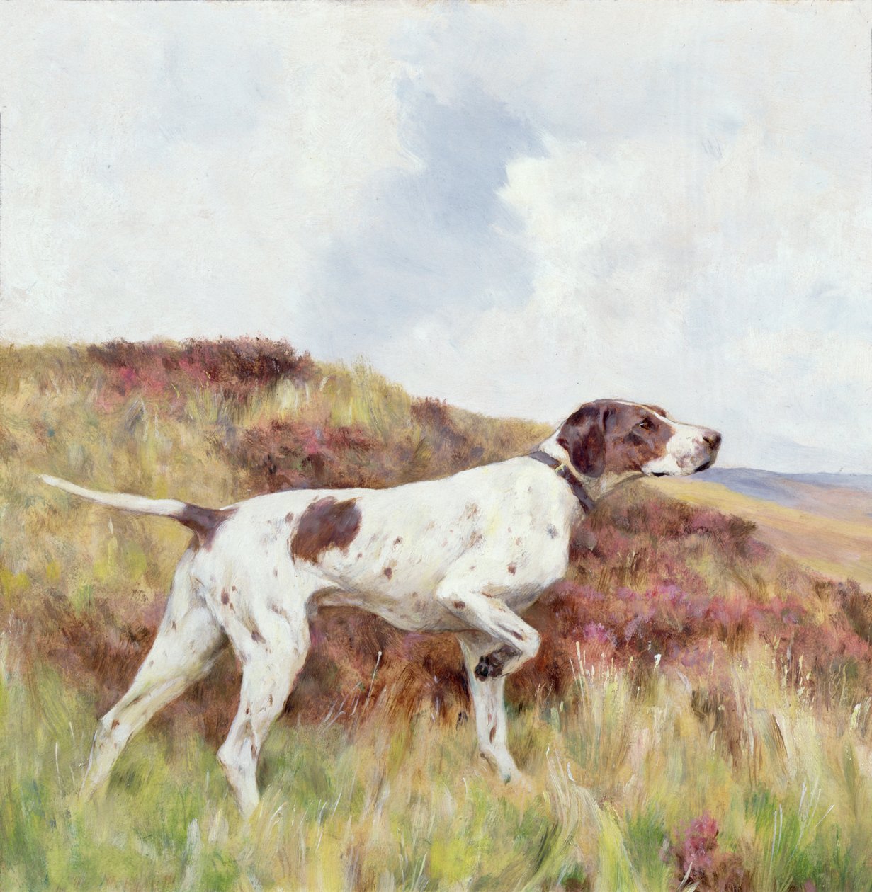 Ukazatel (olej na palubě) od Arthur Wardle