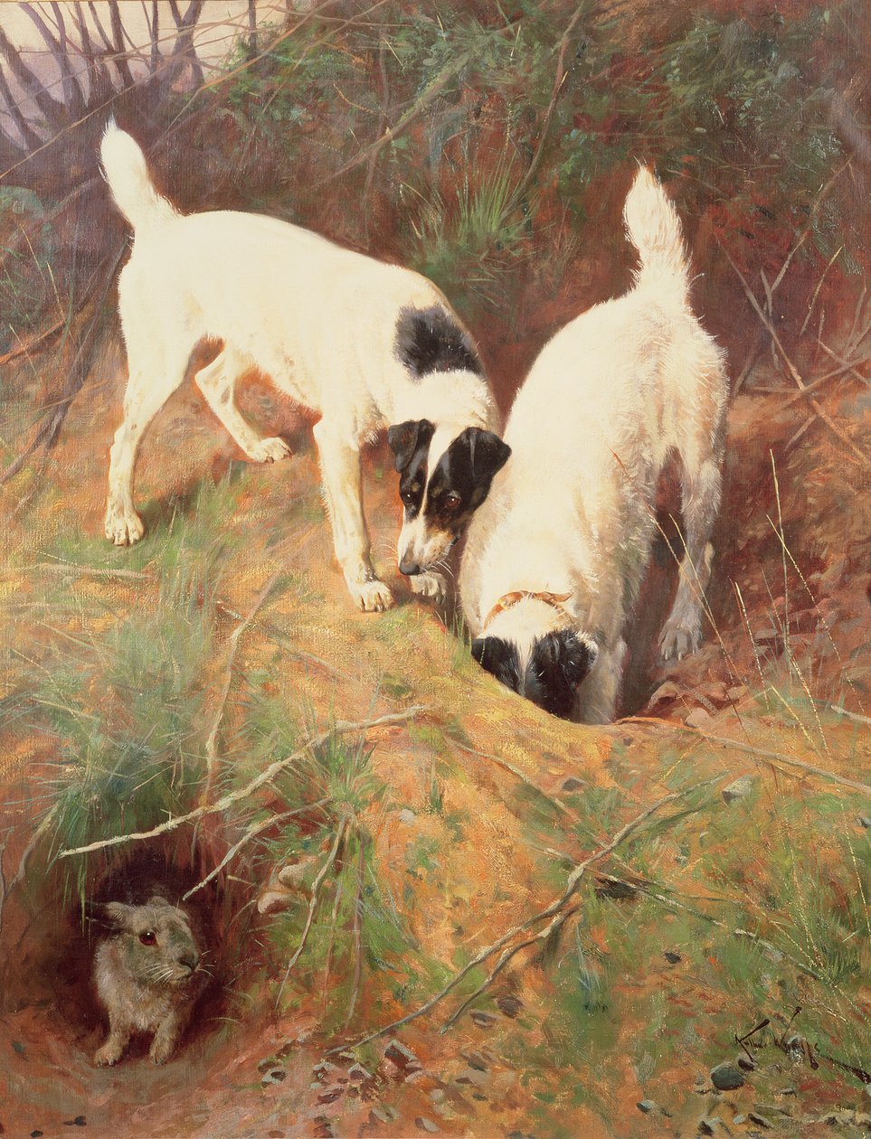 Někdo doma? od Arthur Wardle