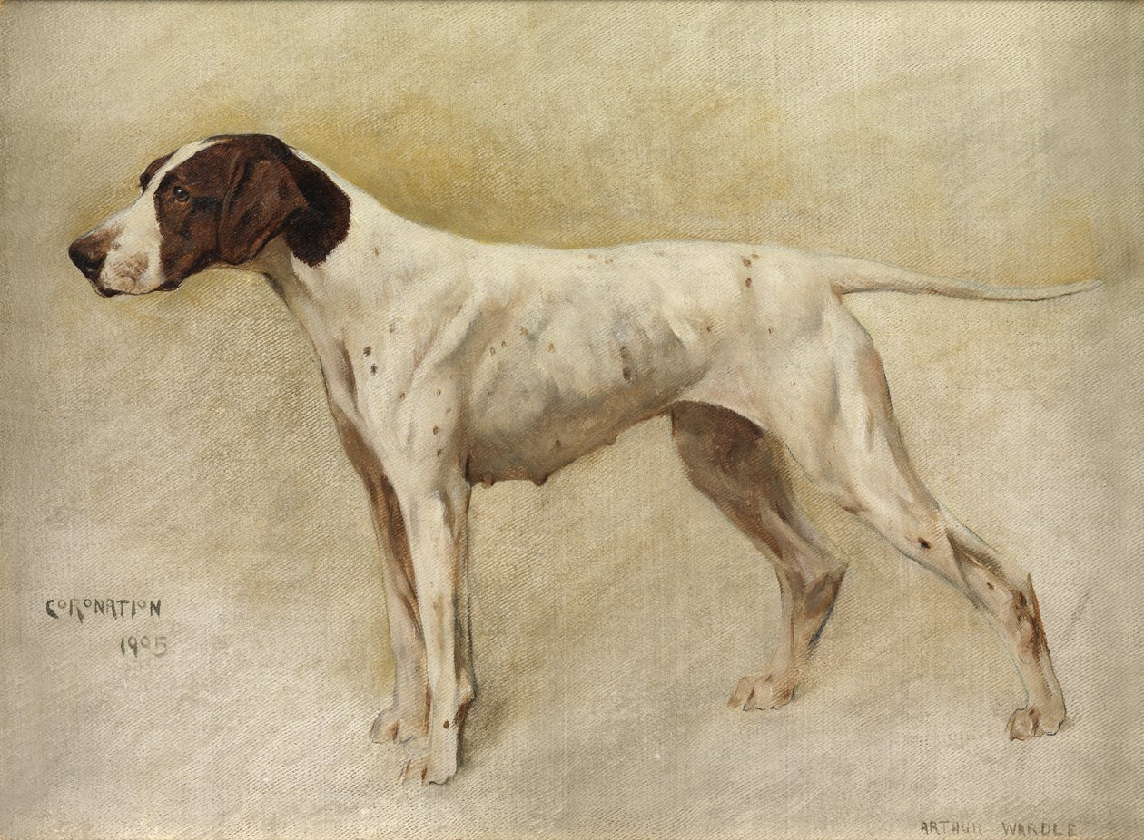 Korunovace od Arthur Wardle