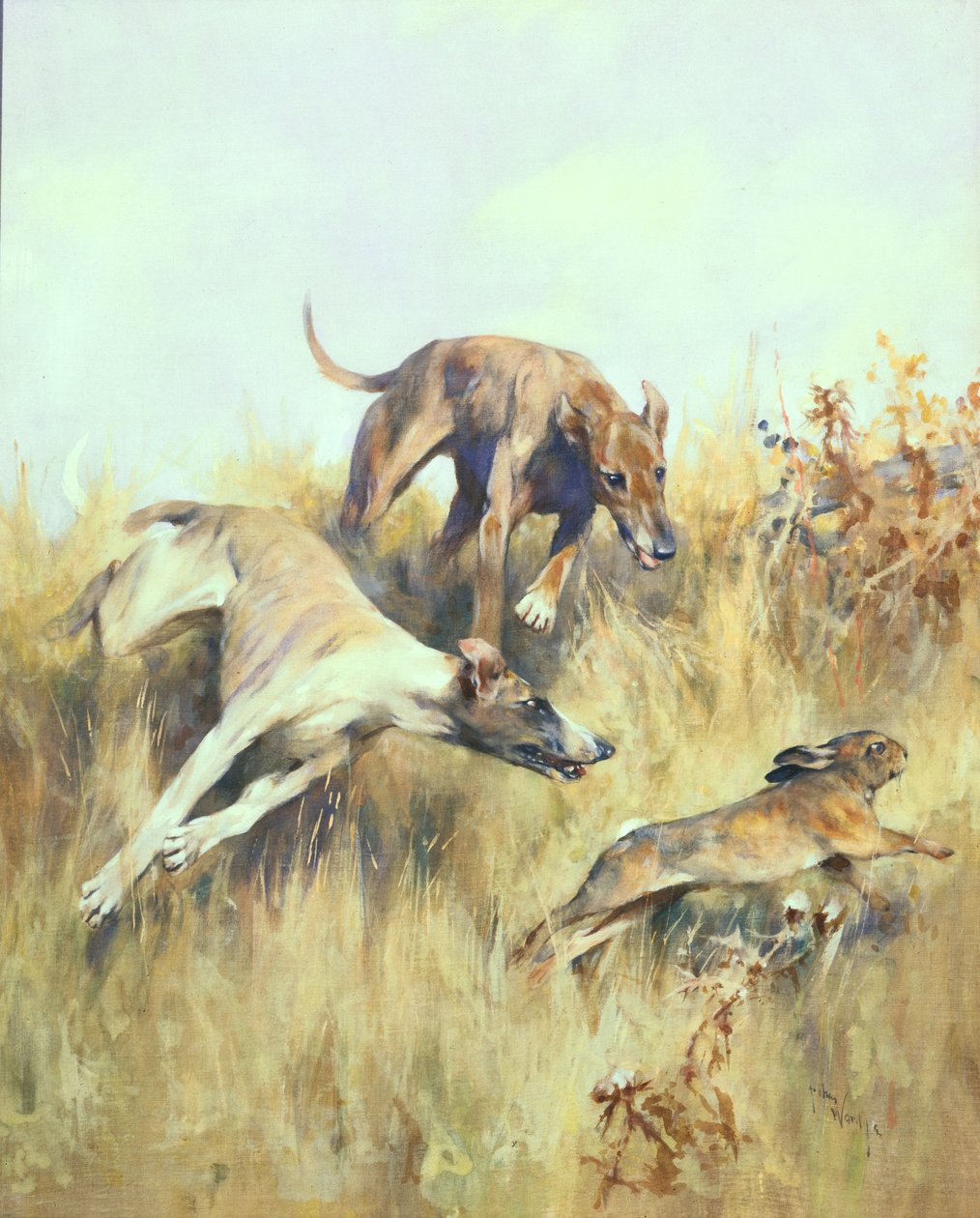 Greyhounds Giving Chase (kvaš na papíře) od Arthur Wardle