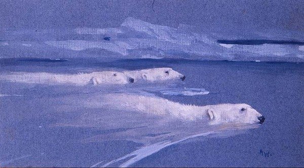 Plavání ledních medvědů (akvarel) od Arthur Wardle