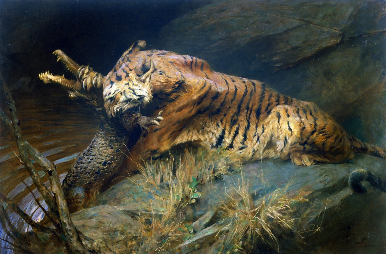 Tygr a krokodýl (olej na plátně) od Arthur Wardle