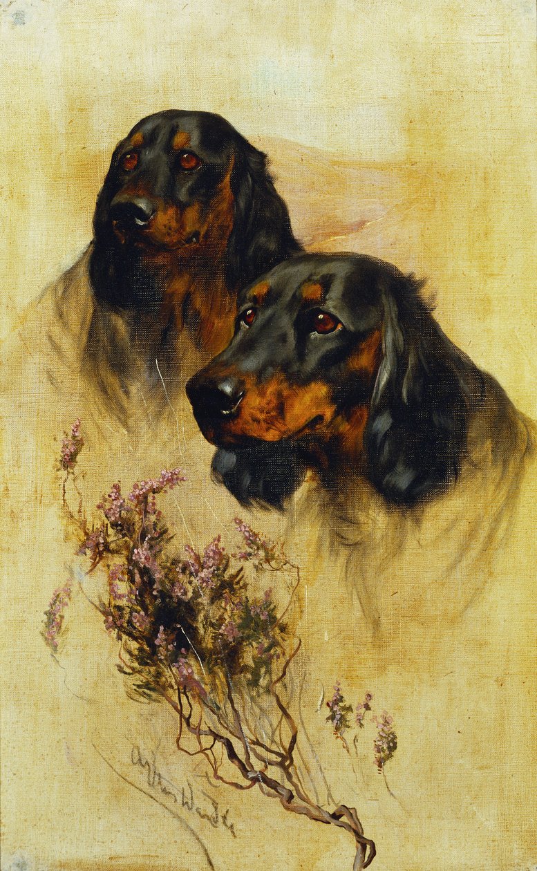Dva Gordonsetři (olej na plátně) od Arthur Wardle