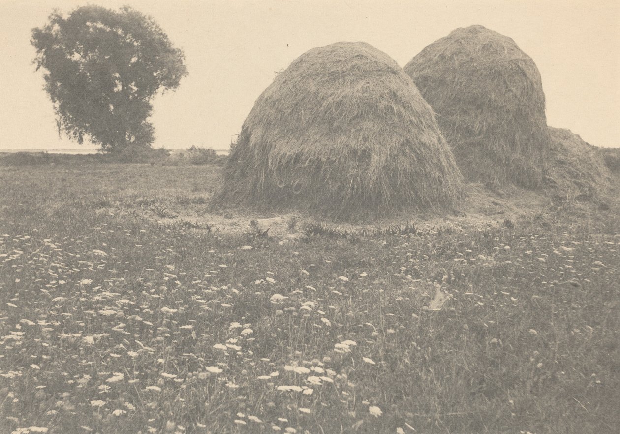 Kupky sena, Ipswich od Arthur Wesley Dow