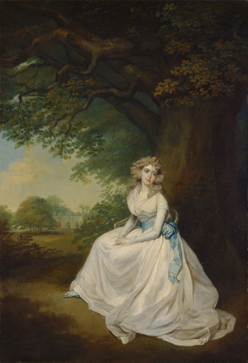 Lady Chambersová od Arthur William Devis
