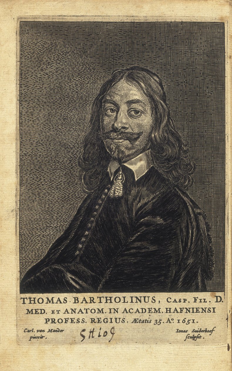 BARTHOLIN, Thomas (1616-1680). Dánský lékař, matematik a teolog. Je známý především díky své práci na objevu lymfatického systému u člověka a pro své pokroky v teorii chladové anestezie, kdy jako první popsal. od Artist Unknown